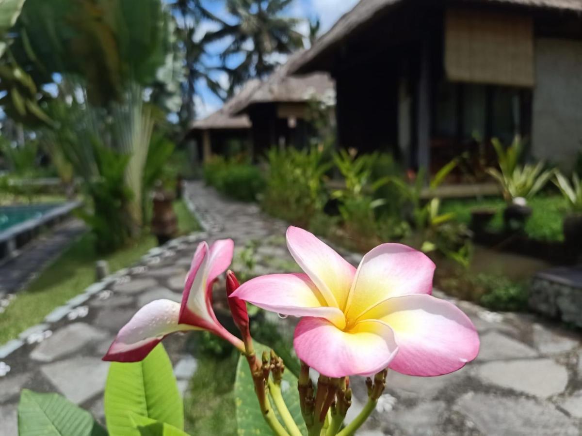 Taman Bintang Villa Ubud ภายนอก รูปภาพ