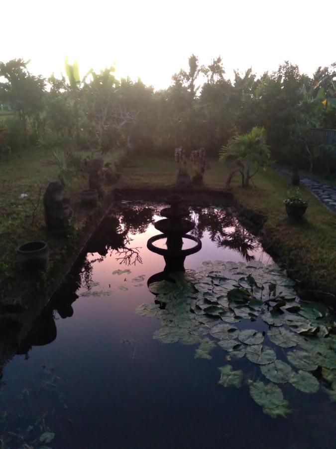 Taman Bintang Villa Ubud ภายนอก รูปภาพ